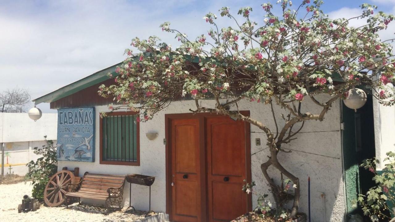 Cabanas Juan Gaviota Punta de Choros Exterior photo