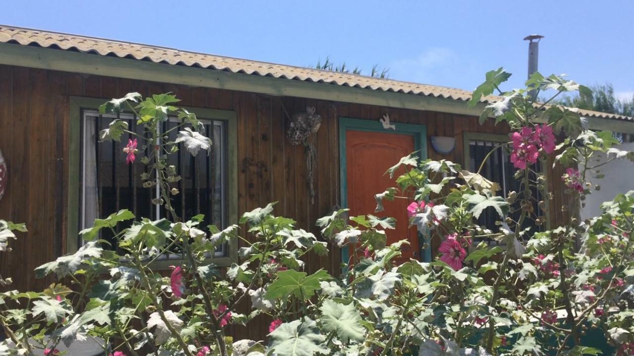 Cabanas Juan Gaviota Punta de Choros Exterior photo