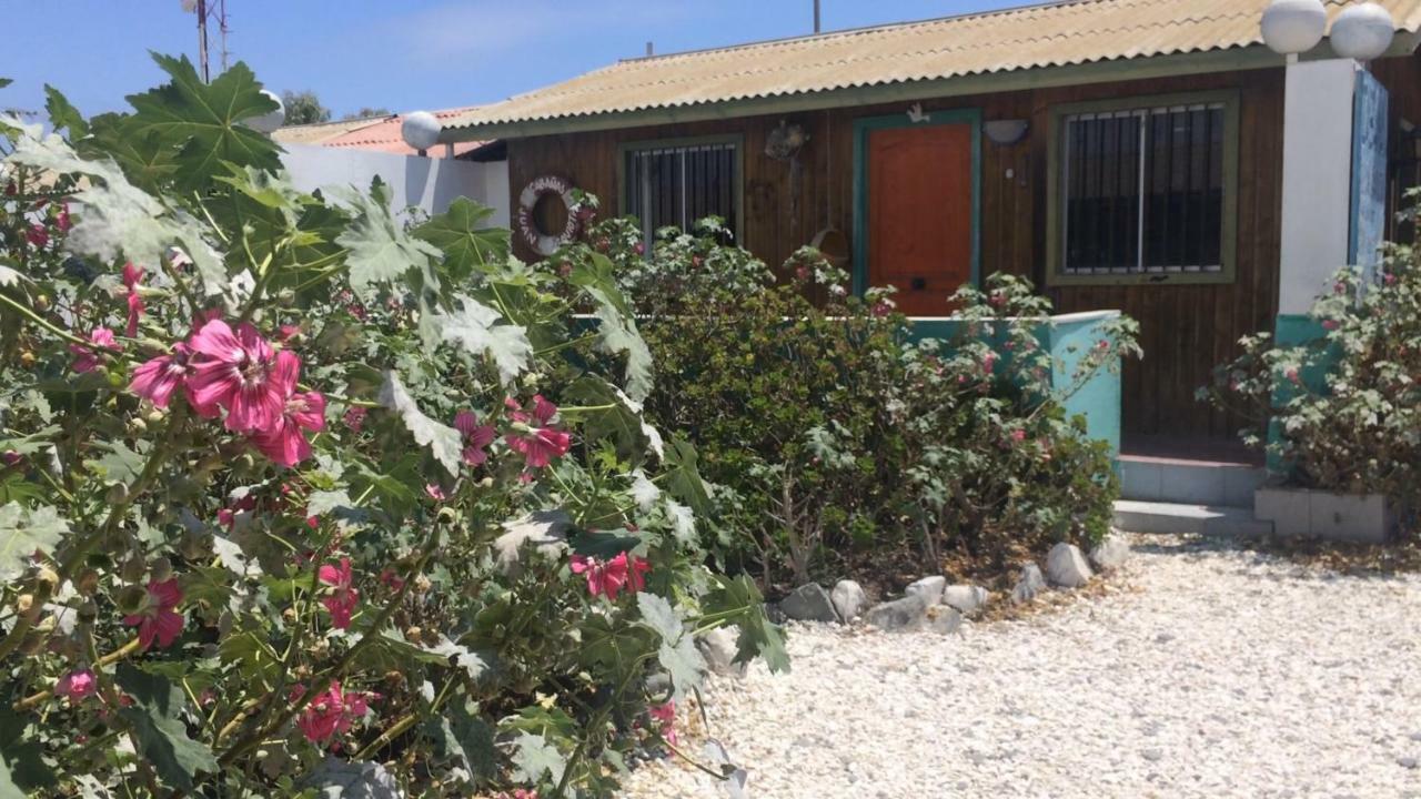 Cabanas Juan Gaviota Punta de Choros Exterior photo
