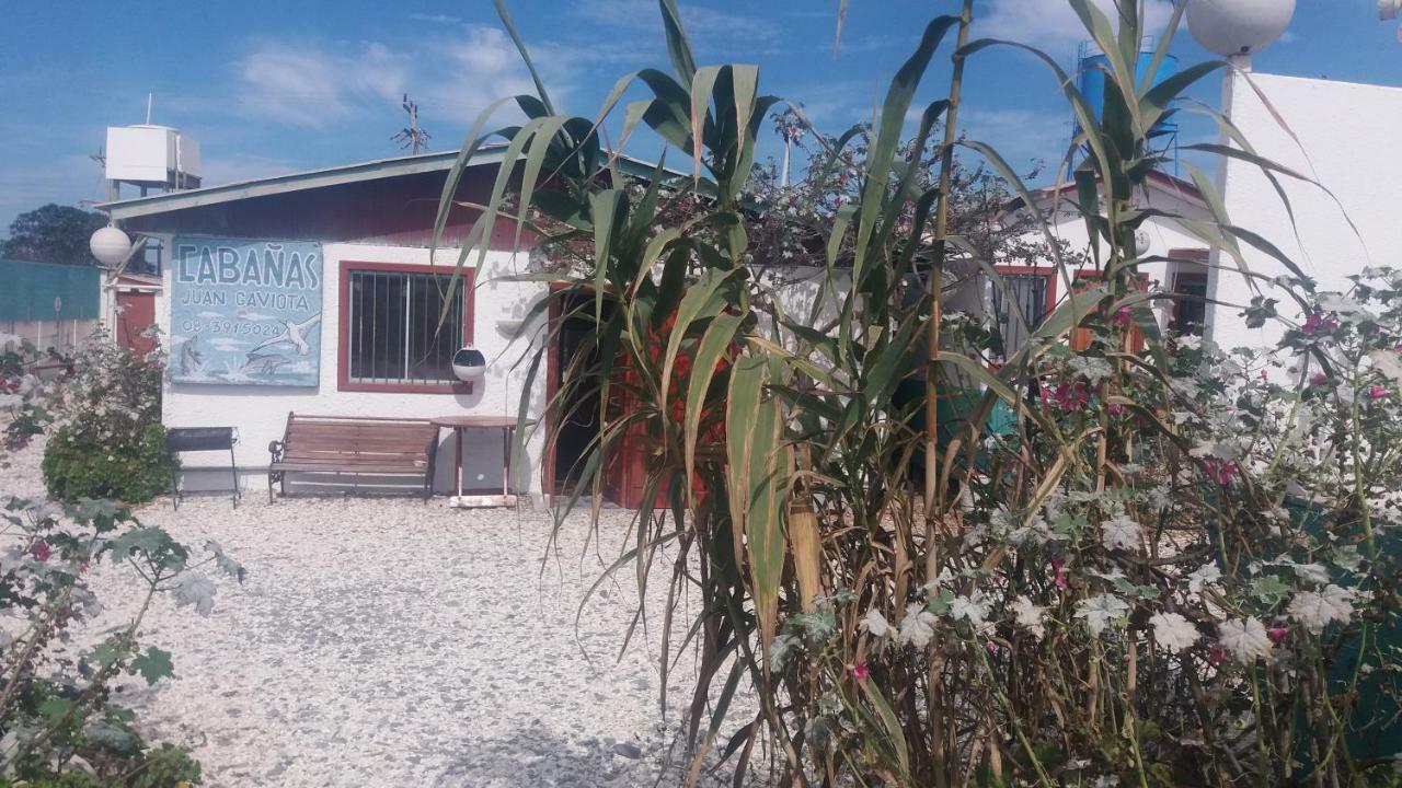 Cabanas Juan Gaviota Punta de Choros Exterior photo