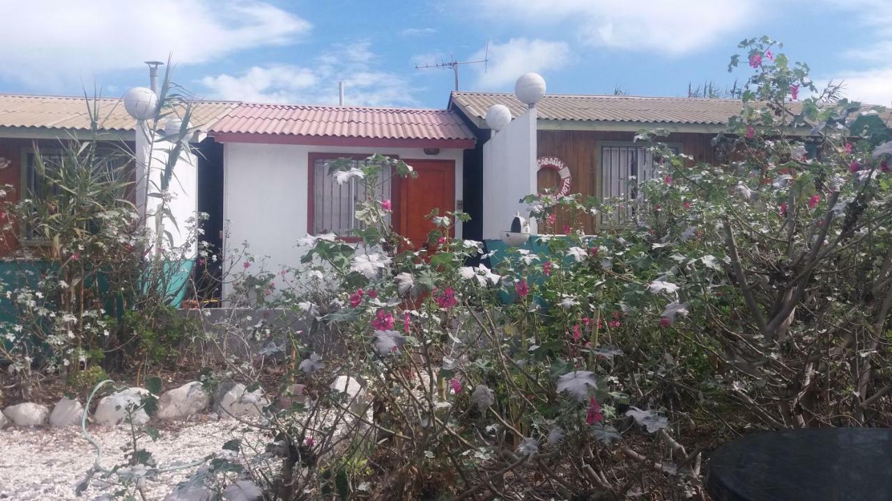 Cabanas Juan Gaviota Punta de Choros Exterior photo